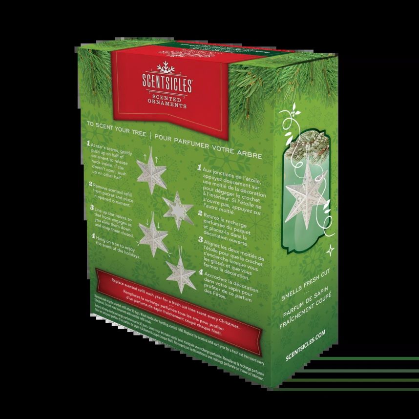 decoration | National Tree Company Scentsicles Decorative Ornament Metal White Star White Winter Fir with Refill F2L4F548